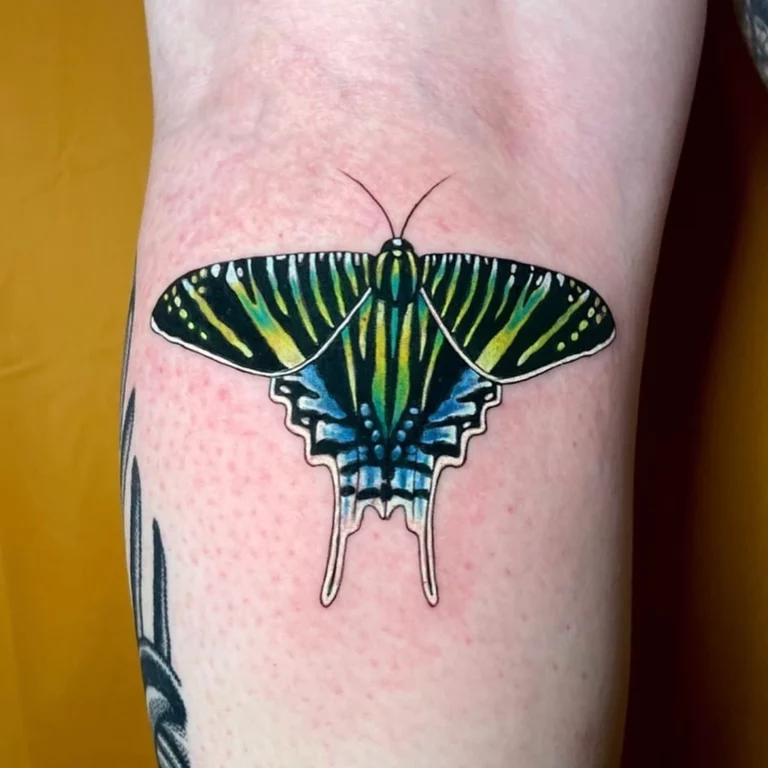 Vibrant Butterfly Melting Tattoo